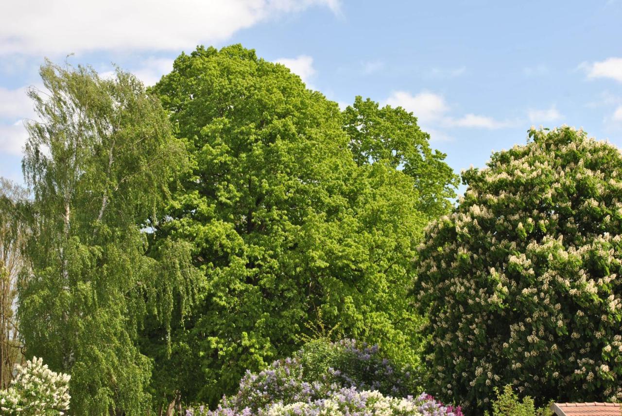Ferienwohnungen Am Plaetlinsee Wustrow  ภายนอก รูปภาพ